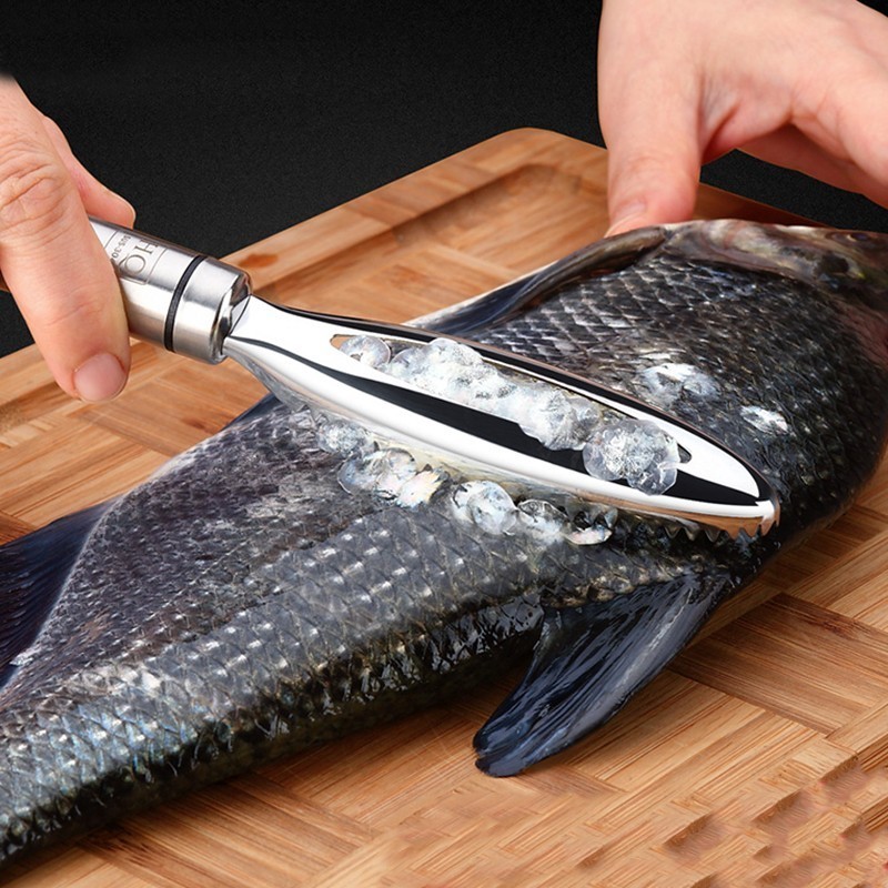 Inoxydable Écailles de Poisson - Kitchen Gadget Amazon avis et prix